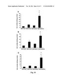 GENE THERAPY COMPOSITION FOR USE IN DIABETES TREATMENT diagram and image