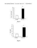 GENE THERAPY COMPOSITION FOR USE IN DIABETES TREATMENT diagram and image