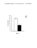 GENE THERAPY COMPOSITION FOR USE IN DIABETES TREATMENT diagram and image