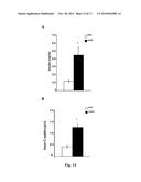 GENE THERAPY COMPOSITION FOR USE IN DIABETES TREATMENT diagram and image