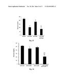 GENE THERAPY COMPOSITION FOR USE IN DIABETES TREATMENT diagram and image