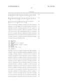 GENE THERAPY COMPOSITION FOR USE IN DIABETES TREATMENT diagram and image