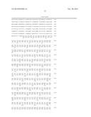 GENE THERAPY COMPOSITION FOR USE IN DIABETES TREATMENT diagram and image