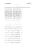 GENE THERAPY COMPOSITION FOR USE IN DIABETES TREATMENT diagram and image