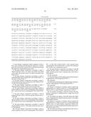 GENE THERAPY COMPOSITION FOR USE IN DIABETES TREATMENT diagram and image