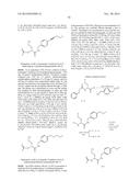 Novel N-Benzylamide Substituted Derivatives of 2-(Acylamido)acetic Acid     and 2-(Acylamido)propionic Acids: Potent Neurological Agents diagram and image