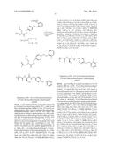 Novel N-Benzylamide Substituted Derivatives of 2-(Acylamido)acetic Acid     and 2-(Acylamido)propionic Acids: Potent Neurological Agents diagram and image