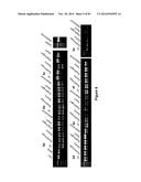 Cell-Penetrating Peptides Having a Central Hydrophobic Domain diagram and image