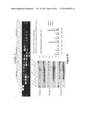 Cell-Penetrating Peptides Having a Central Hydrophobic Domain diagram and image