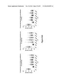 Cell-Penetrating Peptides Having a Central Hydrophobic Domain diagram and image