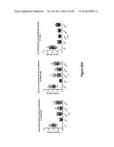 Cell-Penetrating Peptides Having a Central Hydrophobic Domain diagram and image