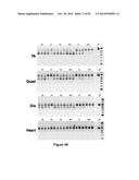 Cell-Penetrating Peptides Having a Central Hydrophobic Domain diagram and image