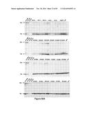 Cell-Penetrating Peptides Having a Central Hydrophobic Domain diagram and image