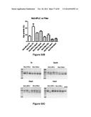 Cell-Penetrating Peptides Having a Central Hydrophobic Domain diagram and image