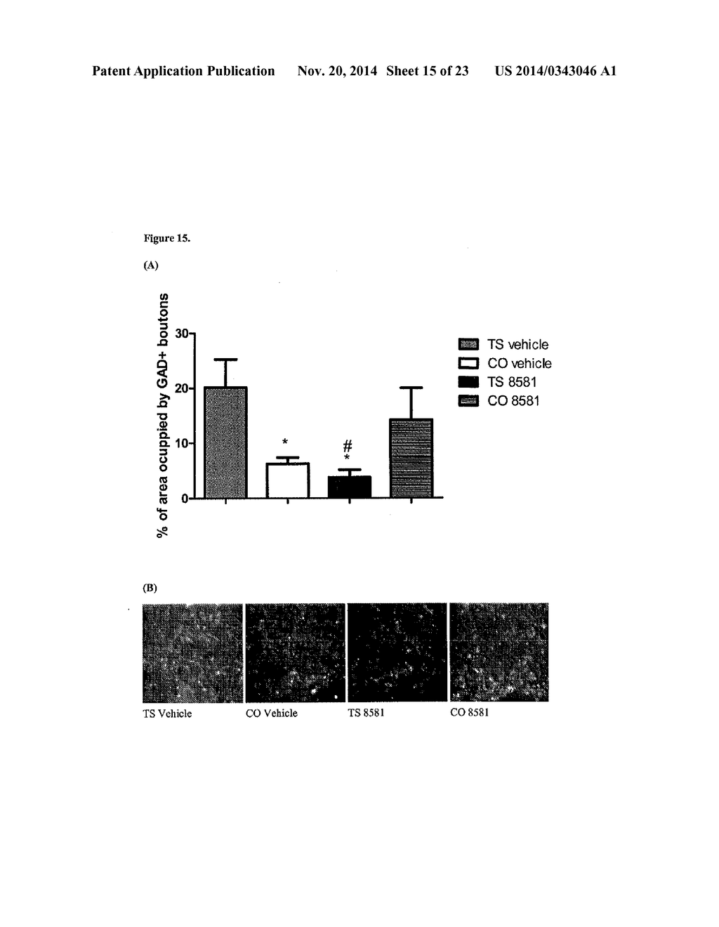 USE OF SELECTIVE GABA A ALPHA 5 NEGATIVE ALLOSTERIC MODULATORS FOR THE     TREATMENT OF CENTRAL NERVOUS SYSTEM CONDITIONS - diagram, schematic, and image 16