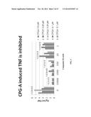 TREATMENT OF LUPUS, FIBROTIC CONDITIONS, AND INFLAMMATORY MYOPATHIES AND     OTHER DISORDERS USING PI3 KINASE INHIBITORS diagram and image