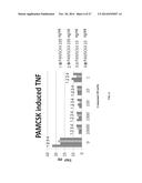 TREATMENT OF LUPUS, FIBROTIC CONDITIONS, AND INFLAMMATORY MYOPATHIES AND     OTHER DISORDERS USING PI3 KINASE INHIBITORS diagram and image