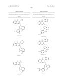 TREATMENT OF LUPUS, FIBROTIC CONDITIONS, AND INFLAMMATORY MYOPATHIES AND     OTHER DISORDERS USING PI3 KINASE INHIBITORS diagram and image