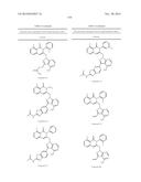 TREATMENT OF LUPUS, FIBROTIC CONDITIONS, AND INFLAMMATORY MYOPATHIES AND     OTHER DISORDERS USING PI3 KINASE INHIBITORS diagram and image