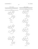 TREATMENT OF LUPUS, FIBROTIC CONDITIONS, AND INFLAMMATORY MYOPATHIES AND     OTHER DISORDERS USING PI3 KINASE INHIBITORS diagram and image