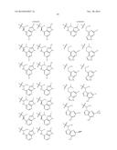 TREATMENT OF LUPUS, FIBROTIC CONDITIONS, AND INFLAMMATORY MYOPATHIES AND     OTHER DISORDERS USING PI3 KINASE INHIBITORS diagram and image