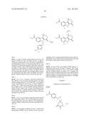 HEPATITIS C INHIBITOR COMPOUNDS diagram and image