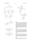 HEPATITIS C INHIBITOR COMPOUNDS diagram and image