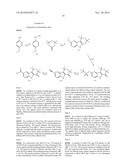 HEPATITIS C INHIBITOR COMPOUNDS diagram and image