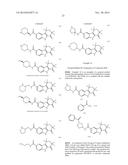 HEPATITIS C INHIBITOR COMPOUNDS diagram and image