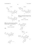 HEPATITIS C INHIBITOR COMPOUNDS diagram and image