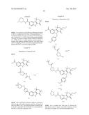 HEPATITIS C INHIBITOR COMPOUNDS diagram and image