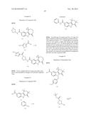 HEPATITIS C INHIBITOR COMPOUNDS diagram and image