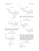 HEPATITIS C INHIBITOR COMPOUNDS diagram and image