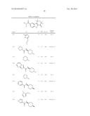 HEPATITIS C INHIBITOR COMPOUNDS diagram and image