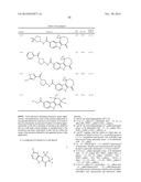 HEPATITIS C INHIBITOR COMPOUNDS diagram and image