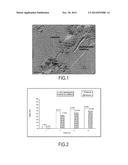 COSMETIC OR DERMATOLOGICAL COMPOSITION COMPRISING ALKYL POLYPENTOSIDE     VESICLES, AND METHOD FOR PREPARING THE SAME diagram and image