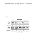 OSTEOGENESIS PROMOTER AND USE THEREOF diagram and image