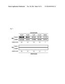 OSTEOGENESIS PROMOTER AND USE THEREOF diagram and image