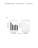 OSTEOGENESIS PROMOTER AND USE THEREOF diagram and image