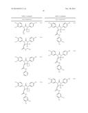 DIARYLTHIOHYDANTOIN COMPOUNDS diagram and image