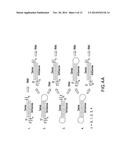 RNA INTERFERENCE MEDIATED INHIBITION OF CATENIN (CADHERIN-ASSOCIATED     PROTEIN), BETA 1 (CTNNB1) GENE EXPRESSION USING SHORT INTERFERING NUCLEIC     ACID (SINA) diagram and image