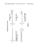 RNA INTERFERENCE MEDIATED INHIBITION OF CATENIN (CADHERIN-ASSOCIATED     PROTEIN), BETA 1 (CTNNB1) GENE EXPRESSION USING SHORT INTERFERING NUCLEIC     ACID (SINA) diagram and image