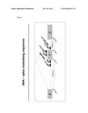 COMPOUNDS FOR THE MODULATION OF SMN2 SPLICING diagram and image