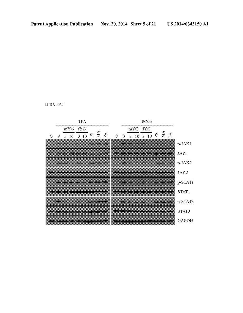 NOVEL PHYTOSPHINGOSINE DERIVATIVES, AND COMPOSITION COMPRISING SAME FOR     PREVENTING AND TREATING INFLAMMATORY SKIN DISEASES, AUTOIMMUNE DISEASES,     AND HYPERKERATOSIS DISEASES - diagram, schematic, and image 06