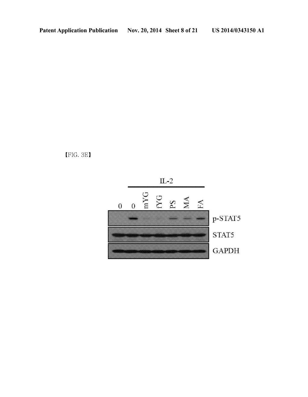 NOVEL PHYTOSPHINGOSINE DERIVATIVES, AND COMPOSITION COMPRISING SAME FOR     PREVENTING AND TREATING INFLAMMATORY SKIN DISEASES, AUTOIMMUNE DISEASES,     AND HYPERKERATOSIS DISEASES - diagram, schematic, and image 09