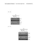 NOVEL PHYTOSPHINGOSINE DERIVATIVES, AND COMPOSITION COMPRISING SAME FOR     PREVENTING AND TREATING INFLAMMATORY SKIN DISEASES, AUTOIMMUNE DISEASES,     AND HYPERKERATOSIS DISEASES diagram and image