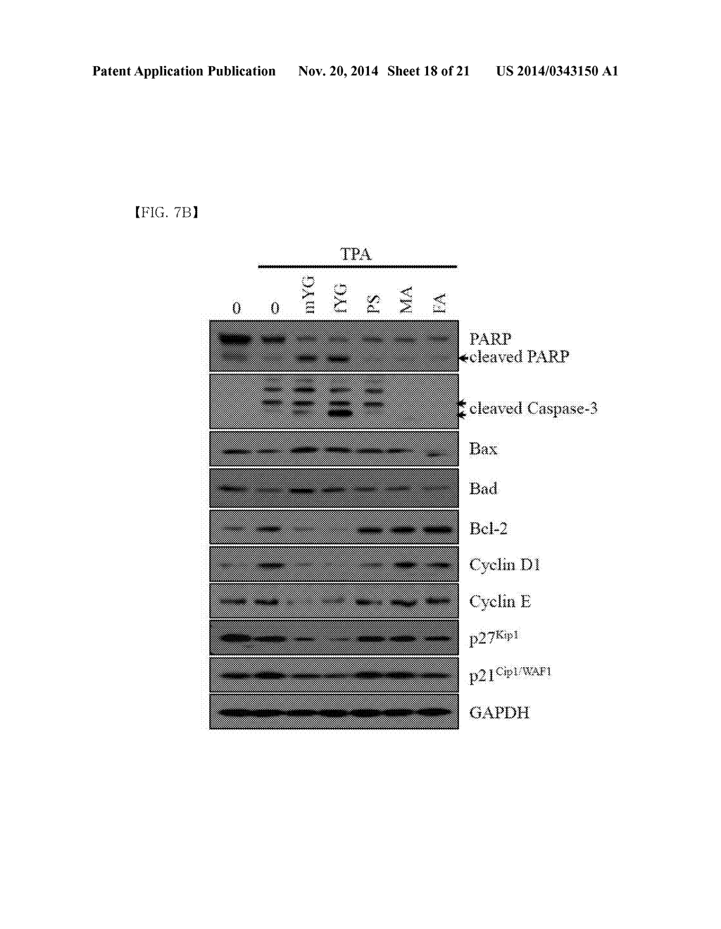 NOVEL PHYTOSPHINGOSINE DERIVATIVES, AND COMPOSITION COMPRISING SAME FOR     PREVENTING AND TREATING INFLAMMATORY SKIN DISEASES, AUTOIMMUNE DISEASES,     AND HYPERKERATOSIS DISEASES - diagram, schematic, and image 19