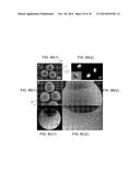 LOCK AND KEY COLLOIDS AND METHODS OF MANUFACTURE diagram and image