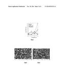 PROCESS FOR SYNTHESIZING CARBON NANOTUBES ON MULTIPLE SUPPORTS diagram and image