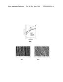 PROCESS FOR SYNTHESIZING CARBON NANOTUBES ON MULTIPLE SUPPORTS diagram and image